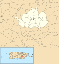 Location of Cidra barrio-pueblo within the municipality of Cidra shown in red