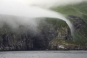 Coastal view with fog