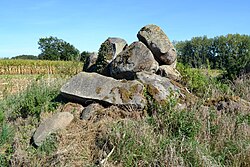 Image illustrative de l’article Allée couverte de Chevrot