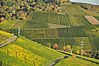 Der Hang des Götzenbergs - Wein- und Obstbaulandschaft bei Stuttgart-Uhlbach im Herbst.jpg