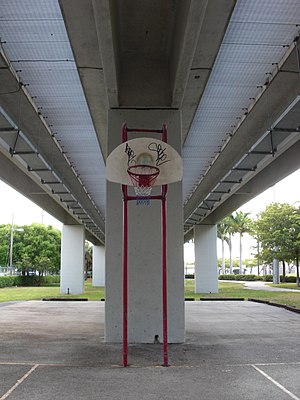 Douglas Road Metrorail basketball hoop.jpg