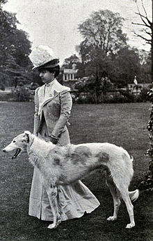 Old photograph of a woman posing with a large Borzoi dog