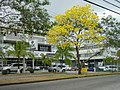 Miniatura para HSBC Bank (Panamá)