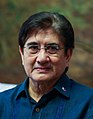 Gregorio Honasan