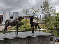 Twee Cheetahs (1999) in dierentuin Artis, Amsterdam