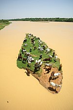 صورة مصغرة لـ نهر النيجر