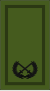 Ирландия-Армия-OF-6 camo.svg