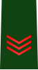 JGSDF Leading Private insignia (b).svg