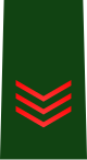 80px-JGSDF_Leading_Private_insignia_%28b%29.svg.png