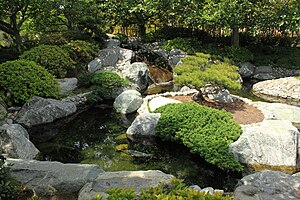 The koi pond at the Japanese Friendship Garden...