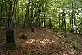 Jüdischer Friedhof