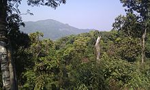 Foto der Waldlandschaft im Nationalpark Kaeng Krachan