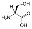 Skeletal structure of L-serine