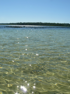 Laguna Blanca