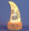 Miniatura per Scrimshaw