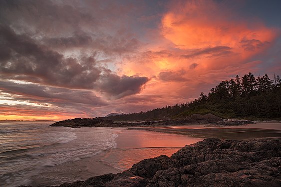 Réserve de parc national Pacific Rim par gmariusica (talk • email)