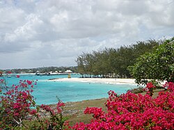 Miami Beach, Barbados.jpg