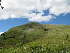 The tall cogon grass field near Mt. Tagapo's peak with the trail visible on the right slope