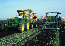 Diesel powered machinery like tractors and harvesters being used