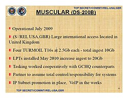 Detalhes técnicos do MUSCULAR, com referencias ao TURMOIL