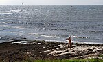 En naturist på väg att bada naken i havet.