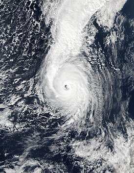 Ураган Офелия с максимальной интенсивностью к югу от Азорских островов 14 октября