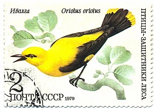Изображение обыкновенной иволги на почтовой марке
