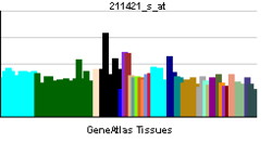 PBB GE RET 211421 s at tn.png