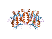 2azt: Crystal structure of H176N mutant of human Glycine N-Methyltransferase