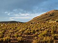 Countryside near to the village of Barrancas