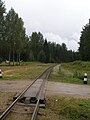 Pārbrauktuves klājs šaursliežu dzelzceļā no dzelzsbetona montāžas blokiem un koka gulšņiem