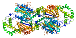 Протеин ACPP PDB 1cvi.png