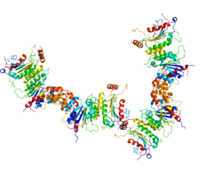 Представлено на основе PDB 2QRV.