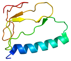 Protein IGFBP1 PDB 1zt3.png