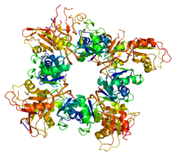 Протеин PABPC1 PDB 1cvj.png