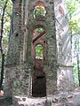 Blick auf den abgebrochenen Treppenturm: Unter der Zugang zum Kellerraum