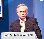 Richard Bruton 2011.jpg