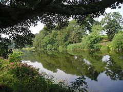 River Teviot.JPG