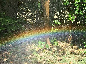 Self made rainbow, made in home garden.