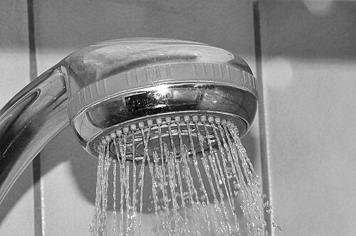 Shower head