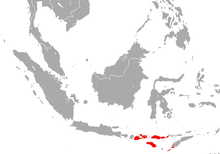 Sumban Leaf-nosed Bat area.png