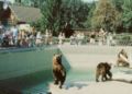 Bärengehege im Tierpark