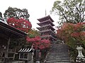 Chikurin-ji (Shikokuko erromesbidea).