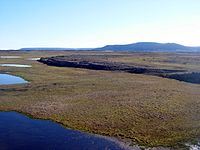 Truelove Lowlands Devon Island.jpg