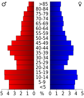 Bevolkingspiramide Clark County