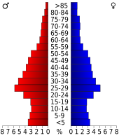 Bevolkingspiramide Denver County