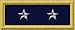 An insignia with a navy blue background and two silver stars
