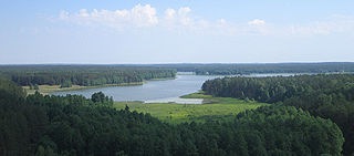 Veisiejo ežeras.Foto:Arz