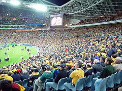 World Cup Telstra stadium.jpg