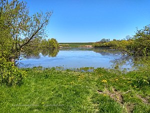 Курашівці ставок